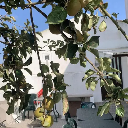 Casa Kika Pereira, Ganzes Haus Bis 11 Personen 度假居